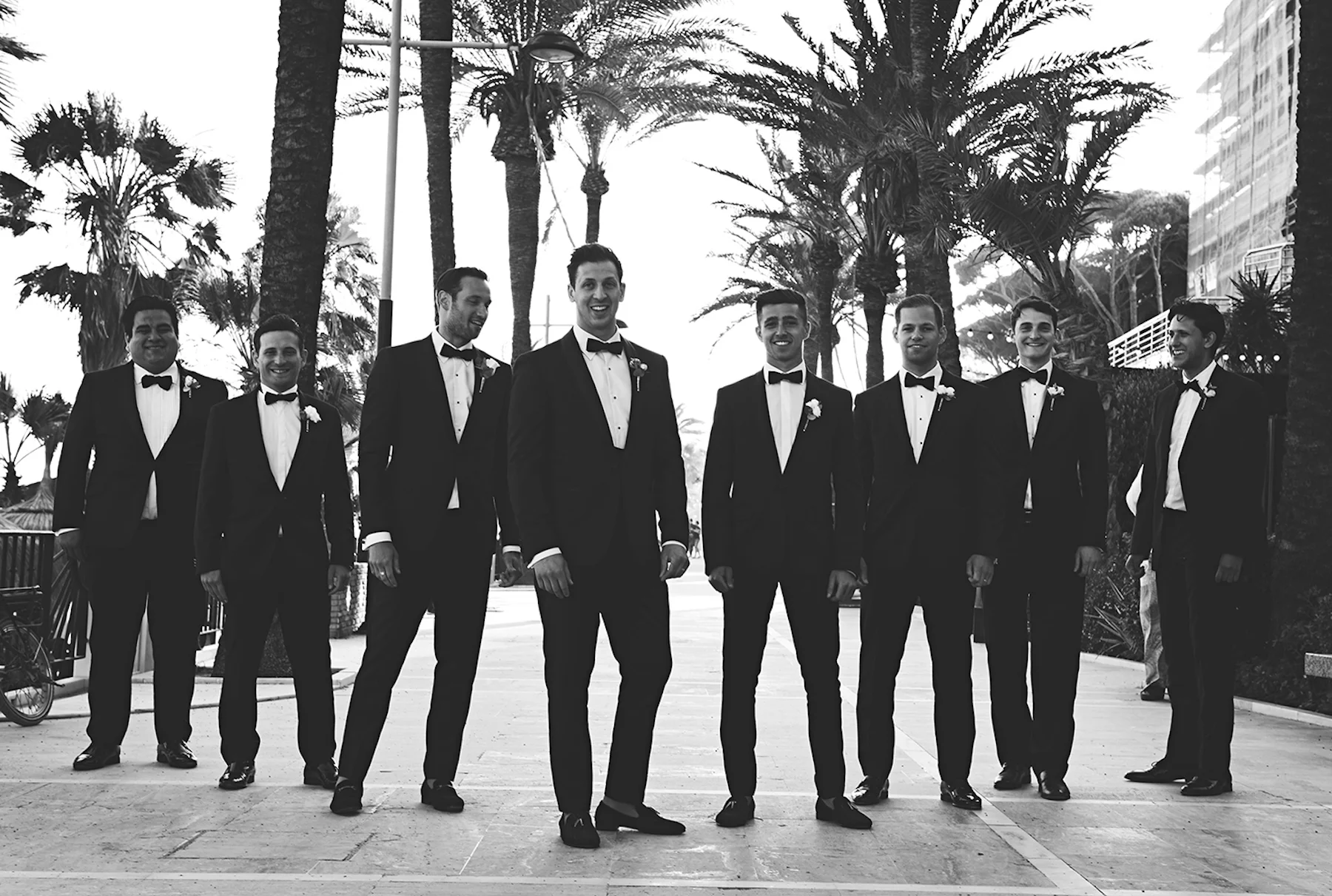 Wedding Photographer